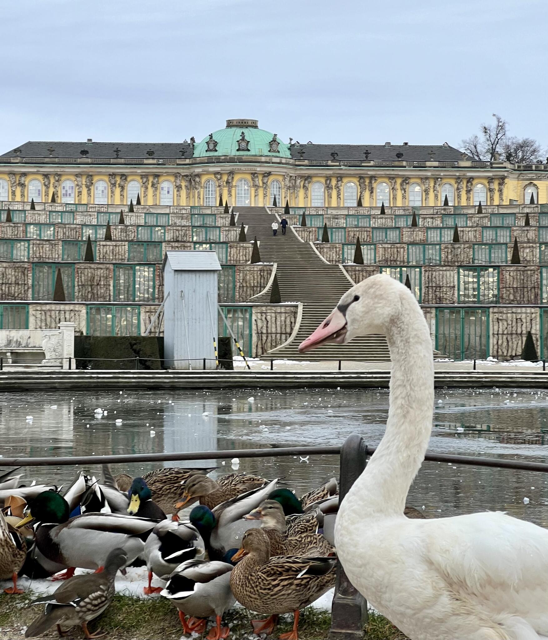 Potsdam - Palais de Sanssouci